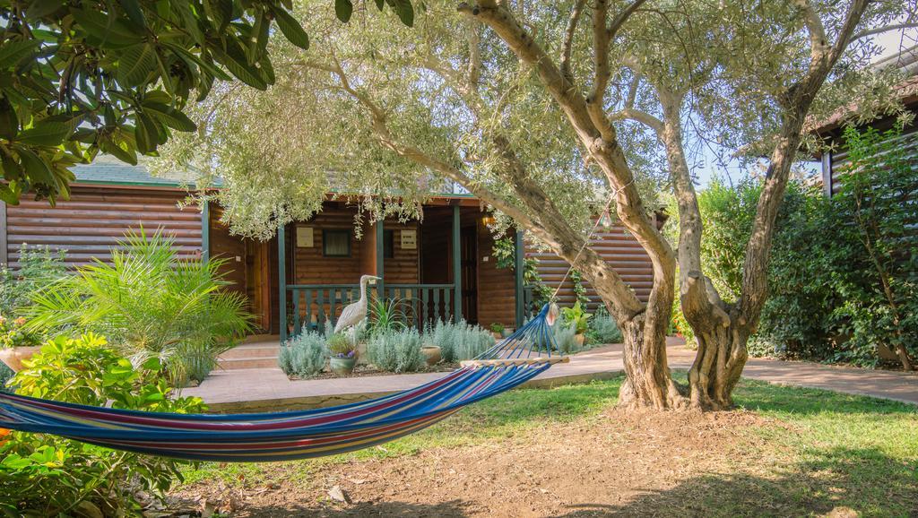 Villa Lavender In The Mountains Ramot Naftali Exterior foto